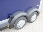 Ifor Williams Pferdeanhänger HB511|Sattelkammer|blau|-Neu – Bild 12