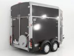 Ifor Williams Pferdeanhänger HB511|Frontausstieg-Neu – Bild 4