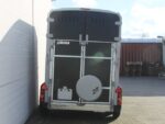 Ifor Williams Pferdeanhänger HB506|Frontausstieg|Klappenkombi-Neu – Bild 7