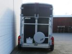 Ifor Williams Pferdeanhänger HB506|Frontausstieg|Klappenkombi|schwarz-Neu – Bild 7
